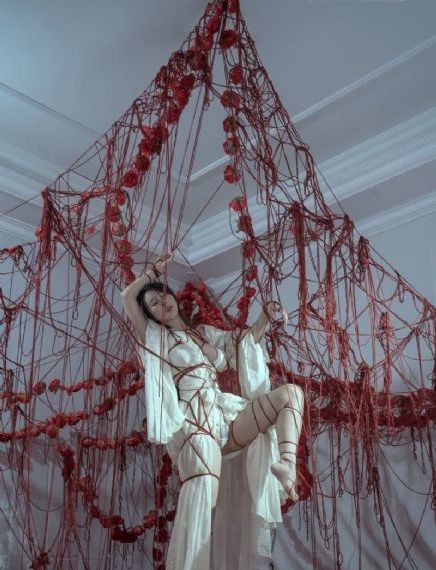 绝命毒师第二季在线观看