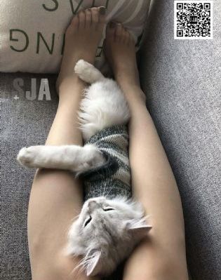 小花寻宝免费观看高清版下载